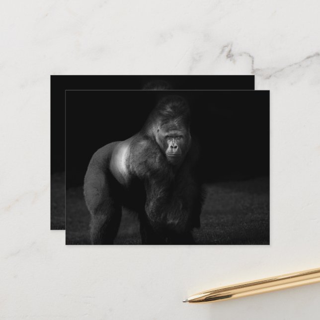 Carte Postale Lumière sur la force – Gorille dos argenté (Devant/Arrière en situation)