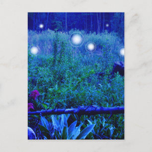Carte Postale Lumières de l'Esprit Bleu Marais Prairie Orbes