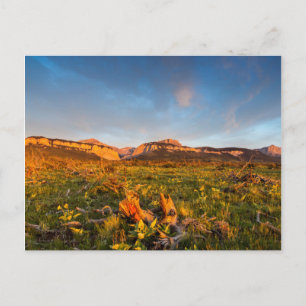 Carte Postale Lumières du lever du soleil Blackleaf Canyon 2