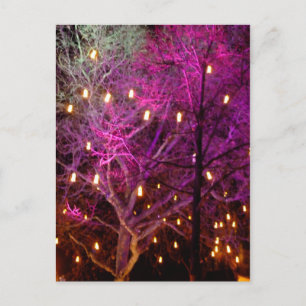 Carte Postale Lumières du marché de Noël à Cologne