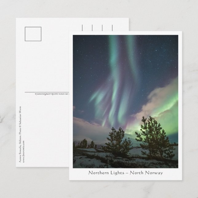 Carte Postale Lumières du Nord (Devant / Derrière)