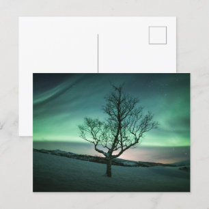 Carte Postale Lumières du Nord