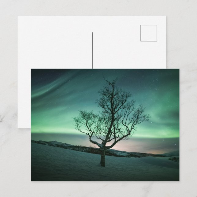 Carte Postale Lumières du Nord (Devant / Derrière)