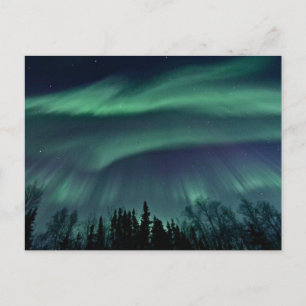 Carte Postale Lumières du Nord de l'Alaska, ZTD