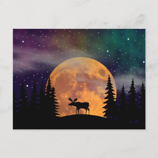 Carte Postale Lumières du nord de nuits du nord (Devant)