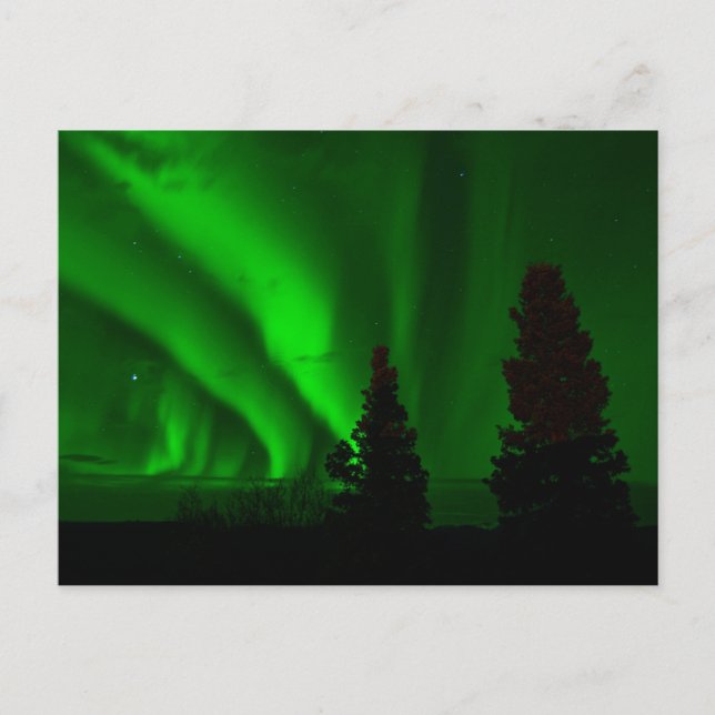 Carte Postale Lumières du nord vertes (Devant)