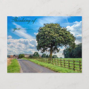 Carte postale lumineuse d'arbre