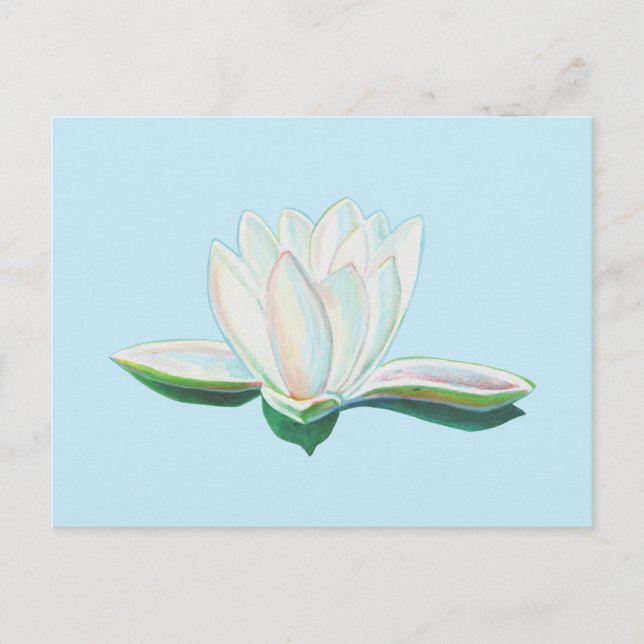 Carte Postale Lumineuse de lotus blanc (Devant)