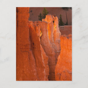 Carte Postale Luminosité intérieure