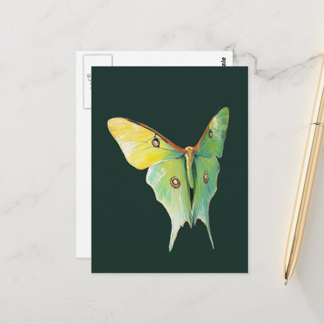 Carte Postale Luna Moth Painting on Dark Background (Devant/Arrière en situation)