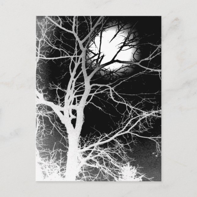 Carte Postale Lune (Devant)