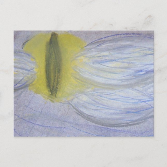 Carte Postale lune aux yeux de chat (Devant)