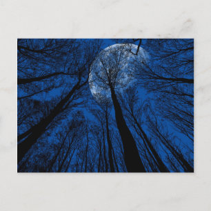 Carte Postale Lune dans le ciel nocturne