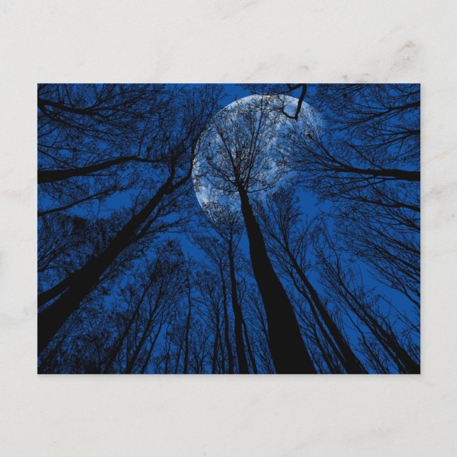 Carte Postale Lune dans le ciel nocturne (Devant)