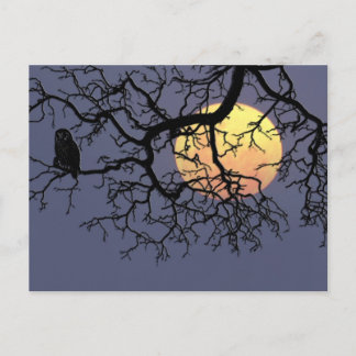 Carte Postale Lune de sang et Chouette de nuit dans la silhouett
