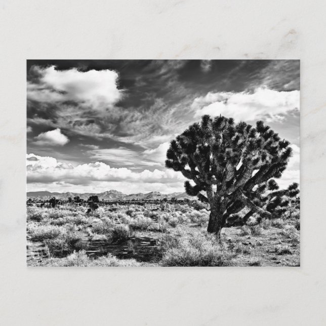 Carte Postale Lune élevée (Devant)