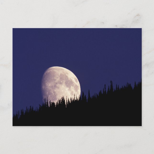 Carte Postale Lune & Forêt | Glacier National Park Montana (Devant)
