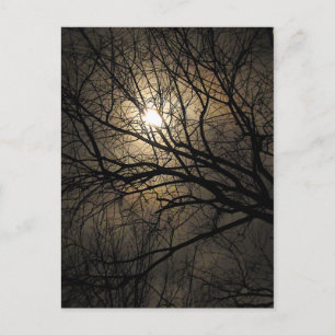 Carte Postale Lune mystique