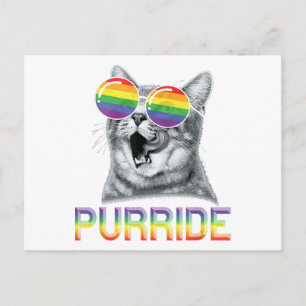 Carte Postale Lunettes de soleil arc-en-ciel Gay Pride Chat Drôl