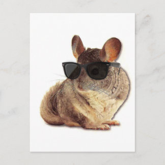 Carte Postale Lunettes de soleil Chinchilla