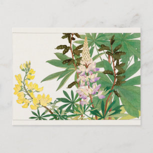 Carte Postale Lupine par Tanigami Konan
