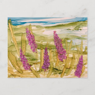 Carte Postale Lupins dans la nature