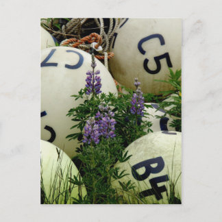 Carte Postale Lupins dans les bouées de pêche