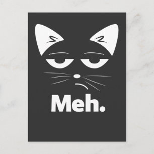 Carte Postale Lustige Katze Sarkastisches Kitten Meh