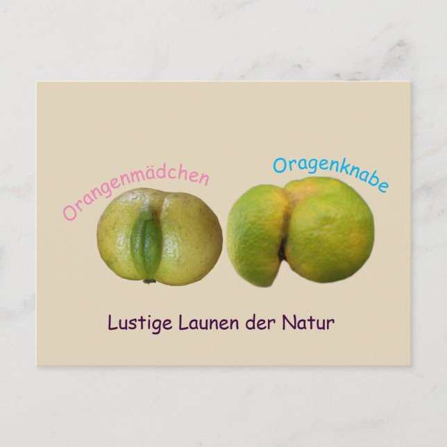 Carte Postale Lustige Orangen (Devant)