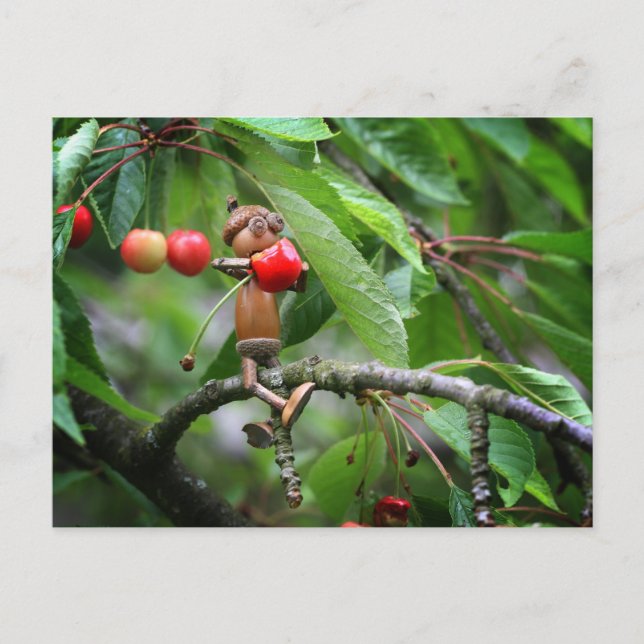 Carte Postale Lutins gland mangeant des cerises sur l'arbre été  (Devant)