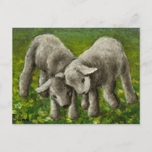Carte Postale Lutte contre l'agneau