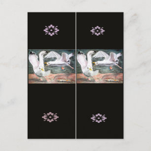 Carte Postale Lutter contre les mouettes Signet