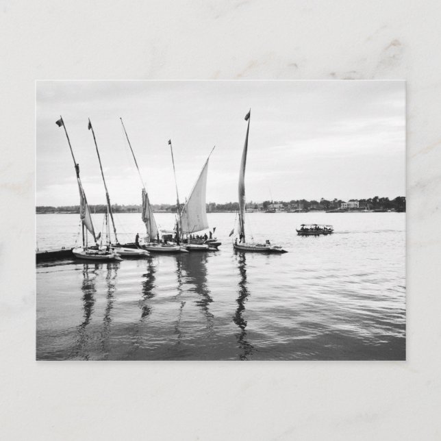 Carte Postale Luxor Egypt, Feluccas sur le Nil (Devant)