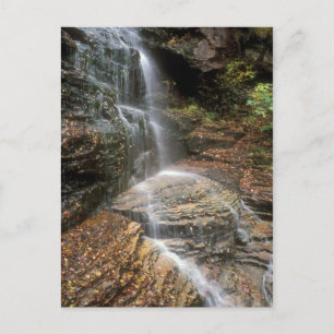 Carte Postale Lye Brook Falls Vermont