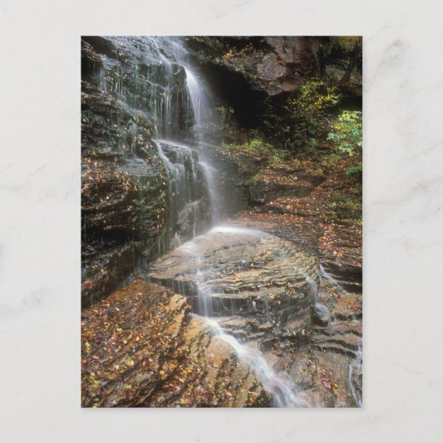 Carte Postale Lye Brook Falls Vermont (Devant)