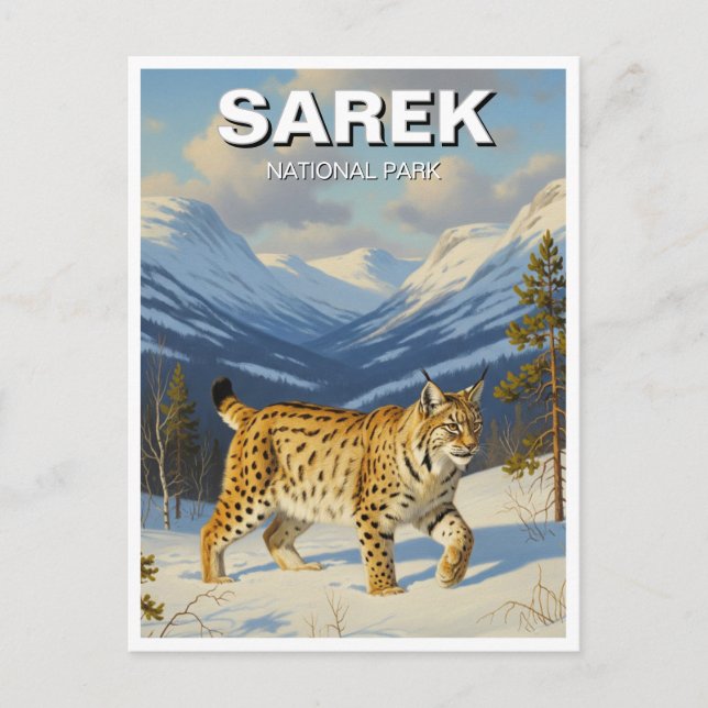 Carte Postale Lynx dans le parc national de Sarek Suède Voyage (Devant)