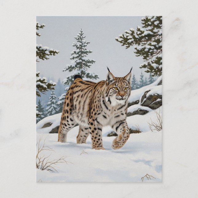 Carte Postale Lynx dans le parc national Fulufjället Suède Voyag (Devant)