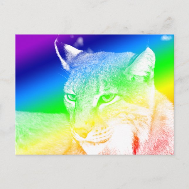 Carte Postale Lynx Faits sa Arc-en-ciel (Devant)