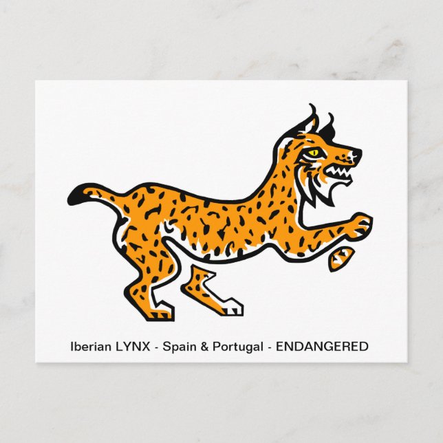 Carte Postale Lynx ibérique dessiné à la main - Conservation - É (Devant)