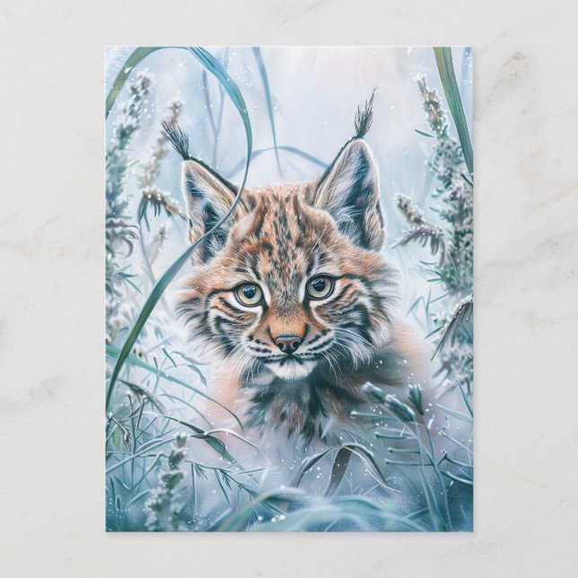 Carte Postale Lynx peu commun dans la forêt enneigée (Devant)