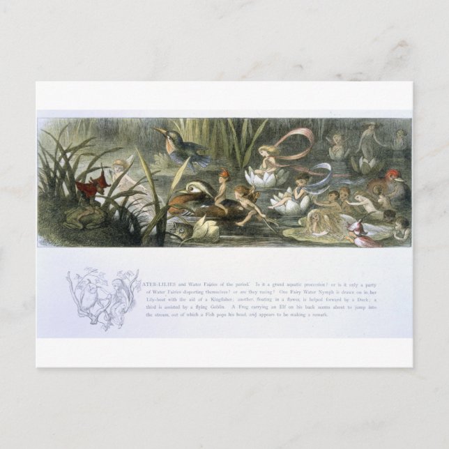 Carte Postale Lys d'eau et fées d'eau, illustration de (Devant)