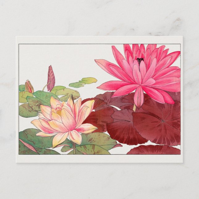 Carte Postale Lys d'eau par Tanigami Konan (Devant)