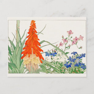 Carte Postale Lys torches, Lobelia par Tanigami Konan