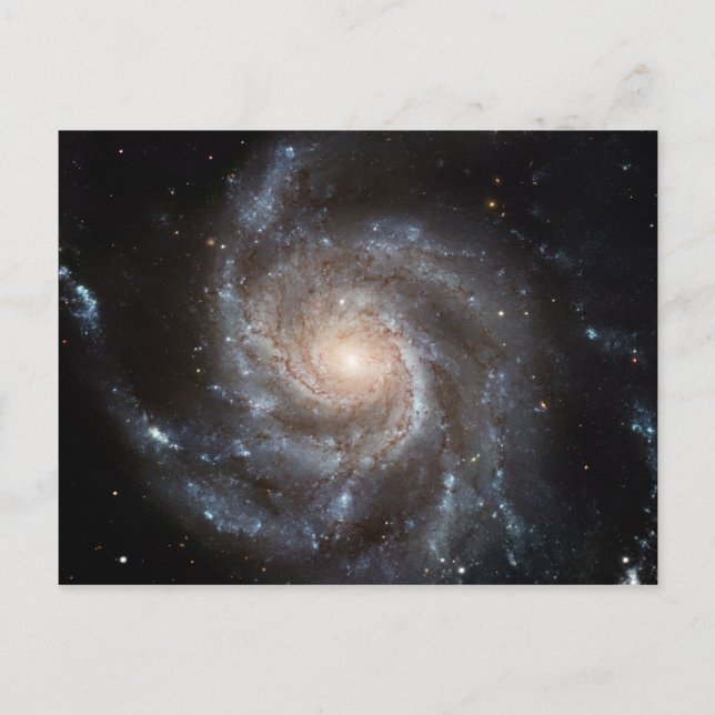 Carte Postale M101 Pinwheel Spiral Galaxy NASA (Devant)