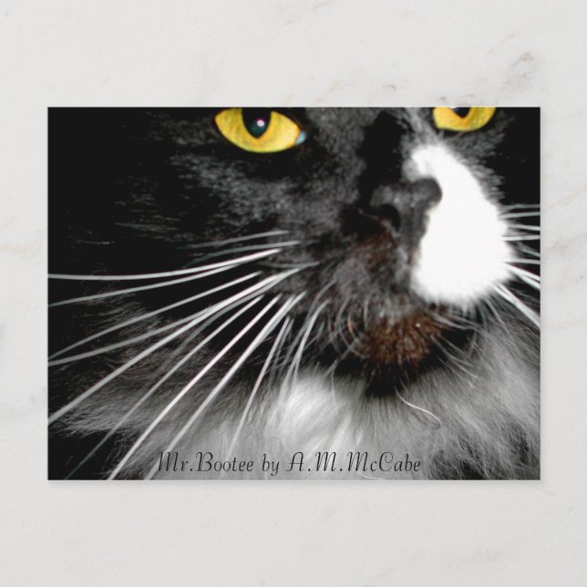 Carte Postale "M. Bootee" (Devant)