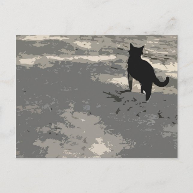 Carte postale M. Cat 010 (Devant)