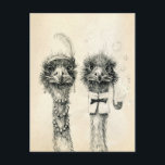Carte Postale M. et Mme Autruche<br><div class="desc">Carte postale ancienne. Dessin original de l'artiste. Convient également pour une Baby Shower ou une invitation.</div>