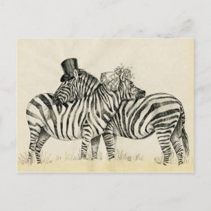 Carte Postale M. et Mme Zebra Fancy couple