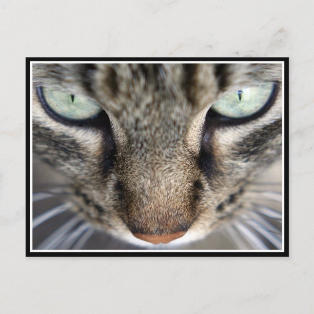 Carte Postale M. Face (Devant)