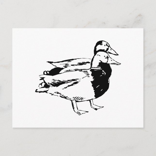 Carte Postale M. & Mme Duck (Devant)